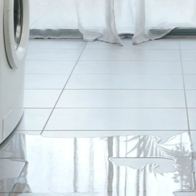 Appliance Leak Cleanup in Geistown, PA