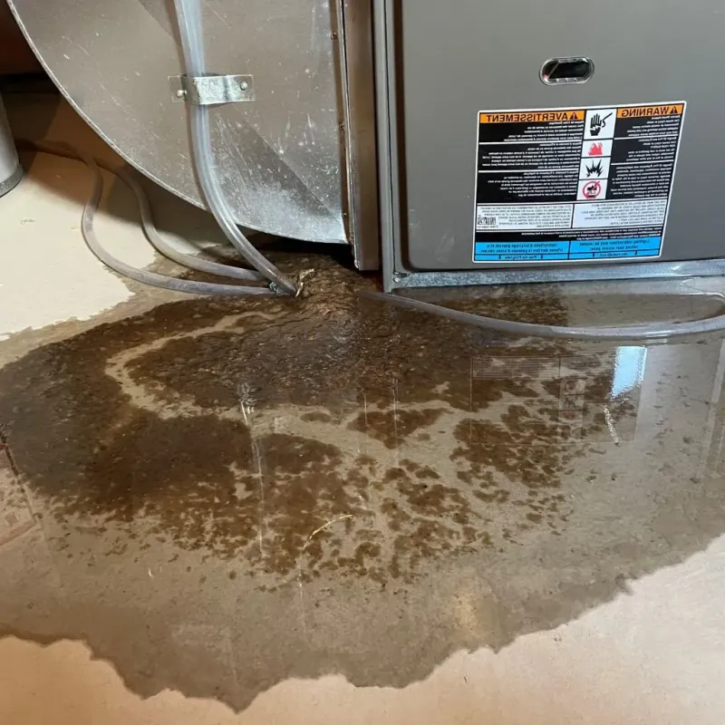 Pipe Burst and Leak Restoration in Geistown, PA