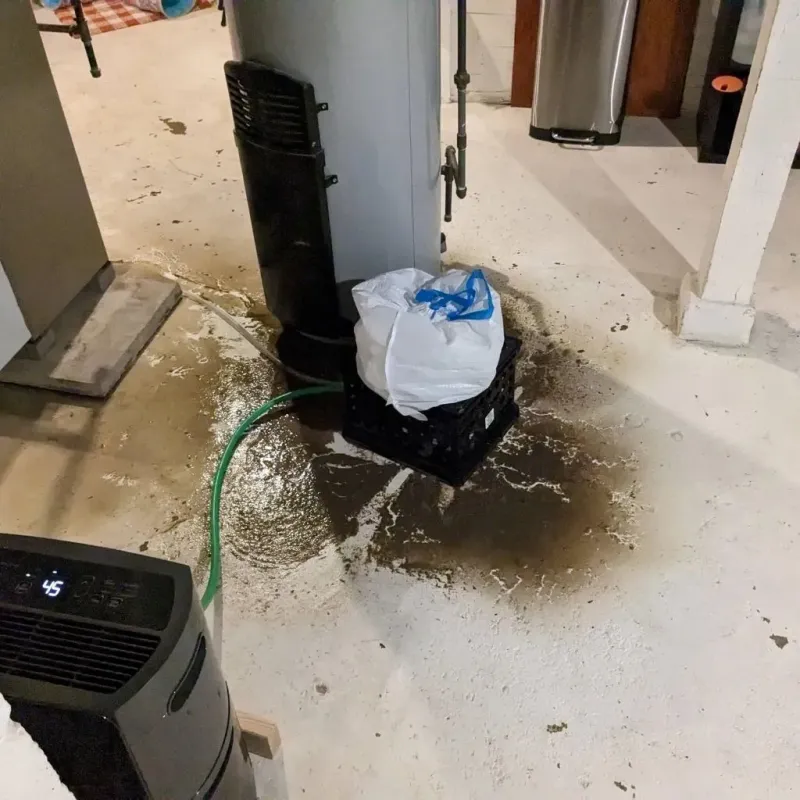 Sewage Backup Cleanup Service in Geistown, PA